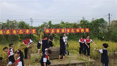 彭山区：开学第一课在劳动中获益