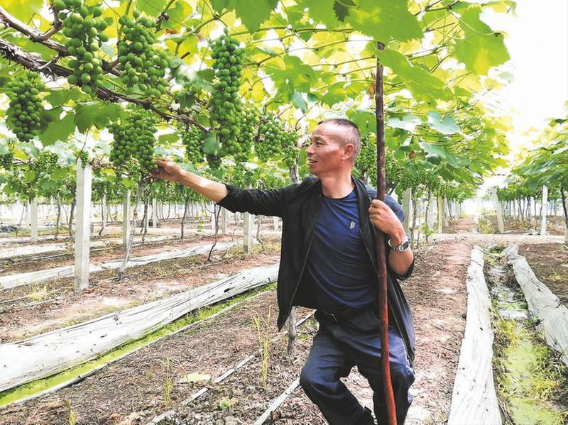 身残志坚 邓永远带领村民走向“共富路”