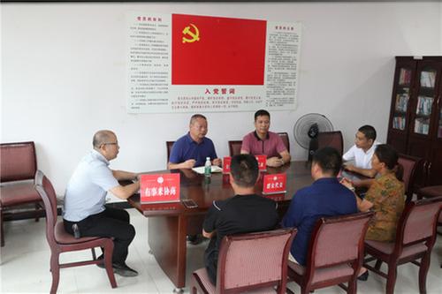 龙安乡：有事来协商 政协挑大梁