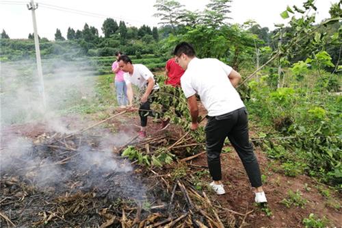 石盘镇积极开展秸秆禁烧工作