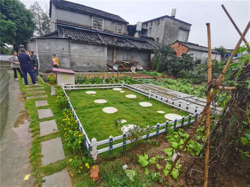 公义镇农乐村：农村厕改 “改”出文明新生活