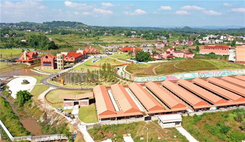 广安区：发展现代农业 助力乡村振兴