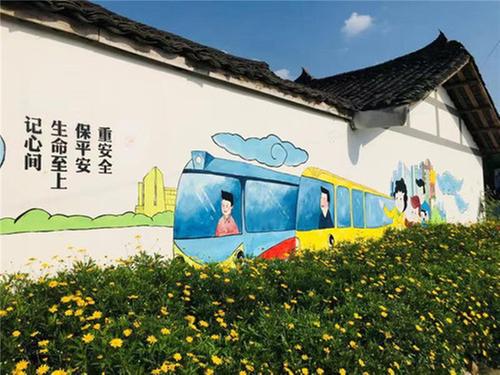 东坡区大定桥村：乡村振兴“领头羊” “四步棋”走出新面貌