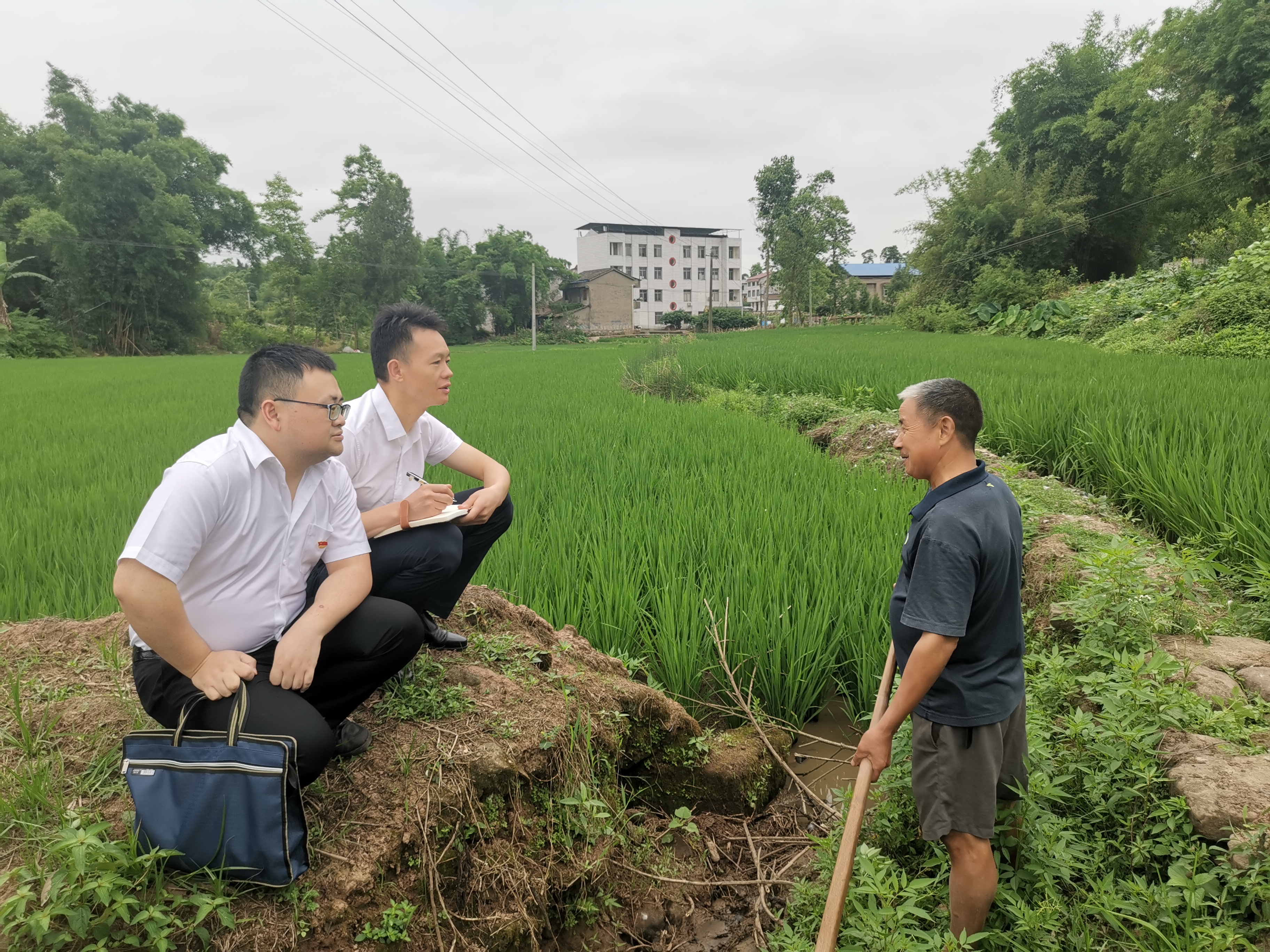 广安：集中整治“群众最不满意的10件事”