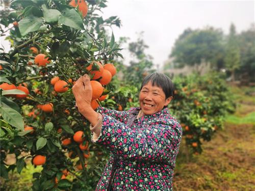 丹棱：做深做细“三农”文章 挥墨“乡村富美图”