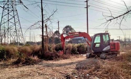 军屯镇:适时“退林还田”，引导产业转型升级