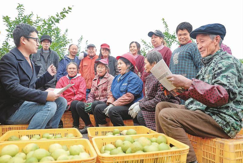 全会精神进果园