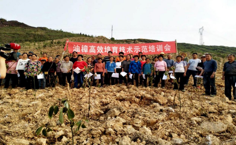 华蓥市科协：助力林业产业发展