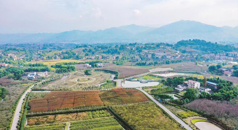 乡村生态园 冬景如画来