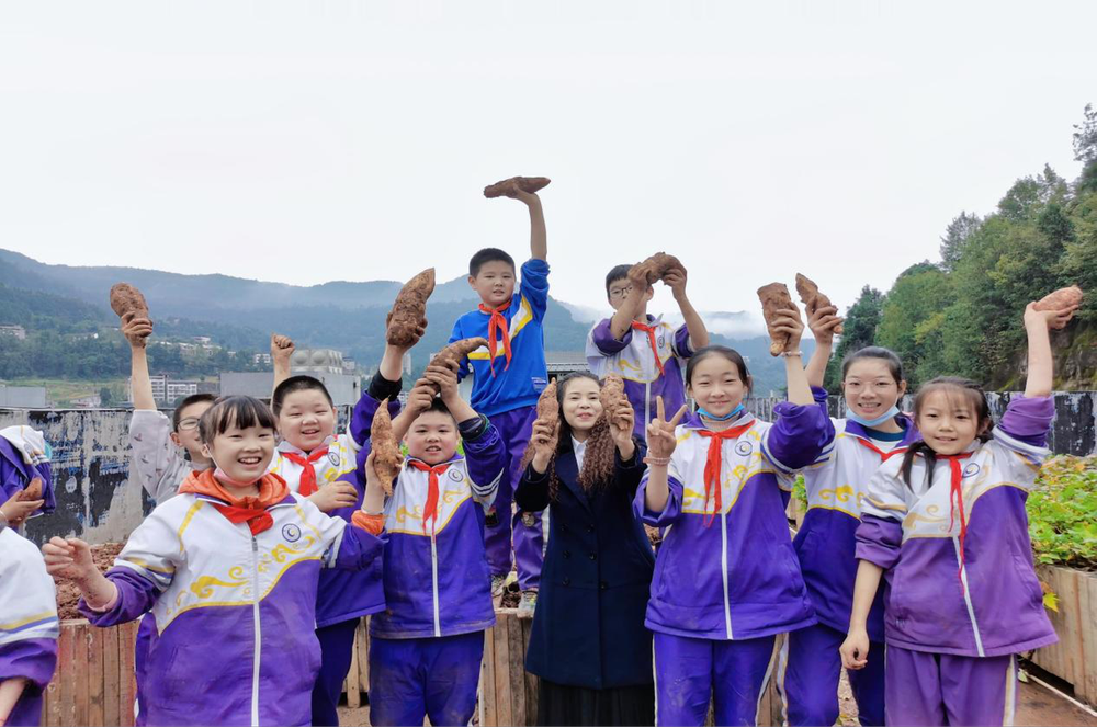 通江六小：劳动助“双减” “薯”我最给力