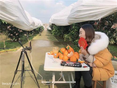 彭山区:果农直播卖柑橘 打开助农销售新渠道