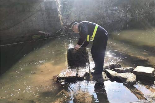 岳池县综合行政执法局开展违规垂钓突击整治行动