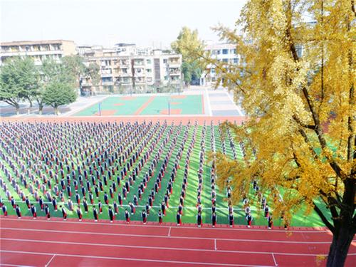 彭山二小2021年秋季体质检测运动会成功举办