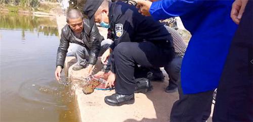 群众“邂逅”娃娃鱼 眉山天府公安与群携手放生