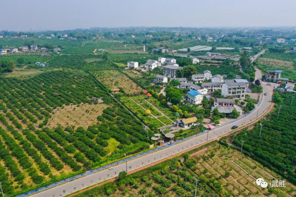 武胜县：促改革强合作 县域发展积蓄新动能