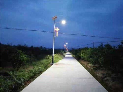 三苏镇:致富不忘乡亲，安装路灯照亮村民回家路