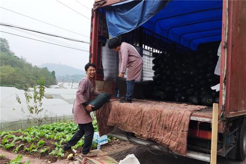 浓溪镇：返乡青年创业领路   助力乡村振兴致富