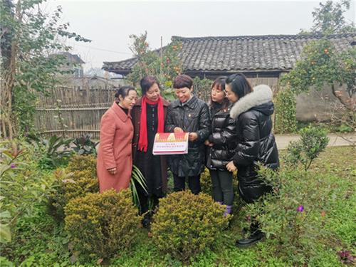 青神县妇联走进农家小院宣讲全会精神