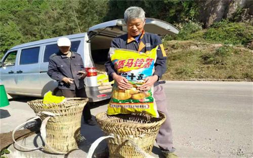 高塔镇：“五到位”加快马铃薯产业发展