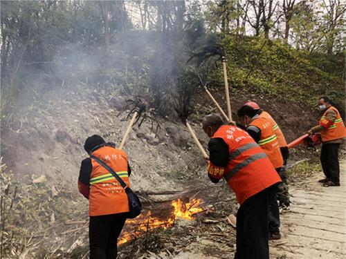 伏龙镇开展森林防火应急演练活动