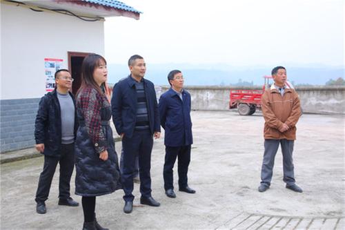 华西广安医院党委书记李昂调研高兴村乡村振兴工作