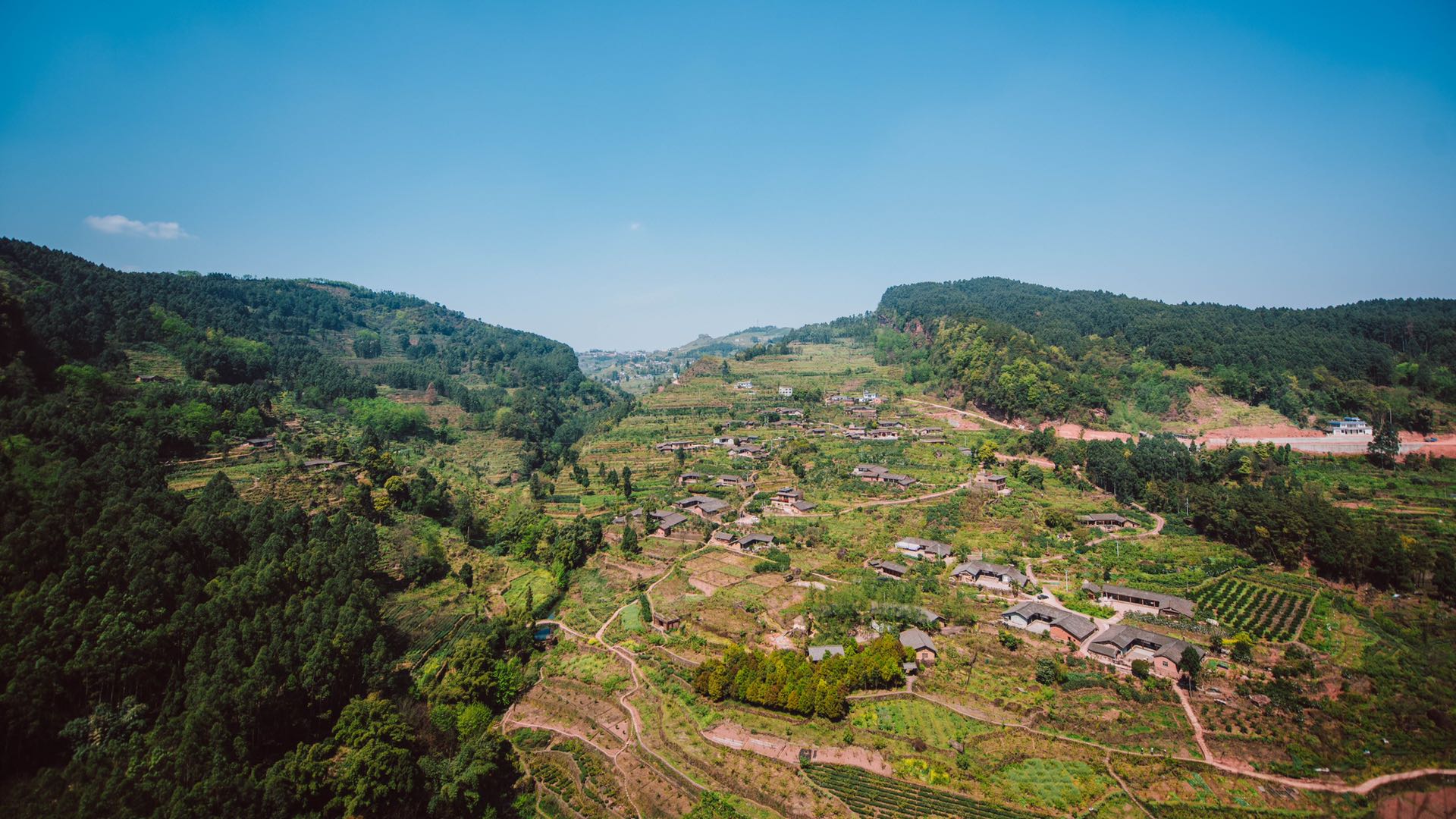 丹棱县：壮大村级集体经济  夯实共同富裕根基