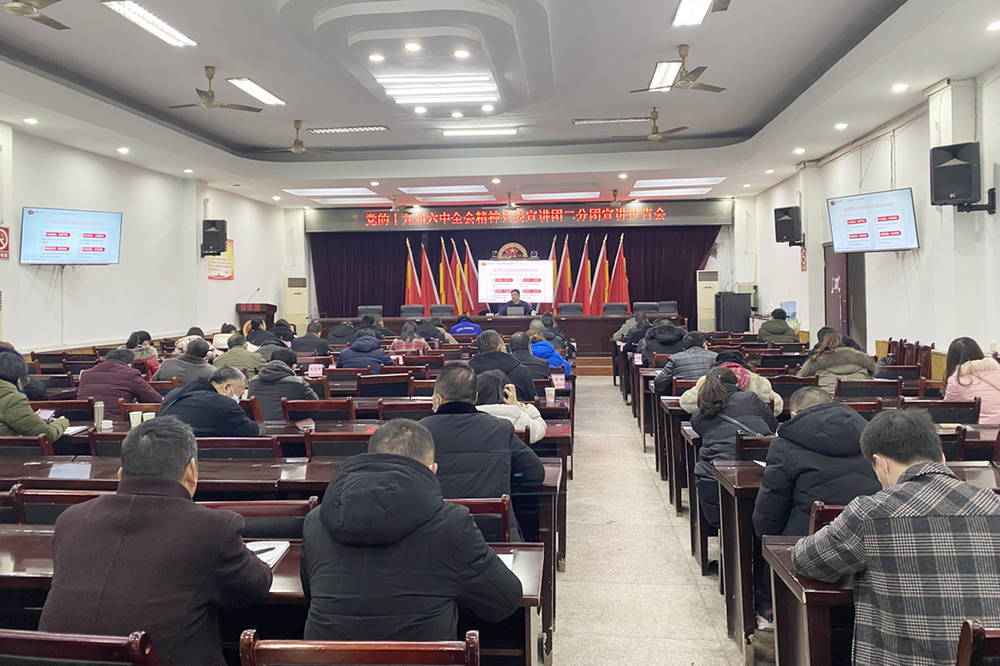 沿口镇召开党的十九届六中全会精神宣讲报告会