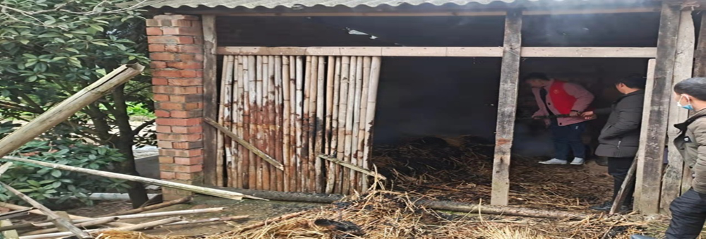 公义镇：强化防火意识 做好防火防灾宣传教育