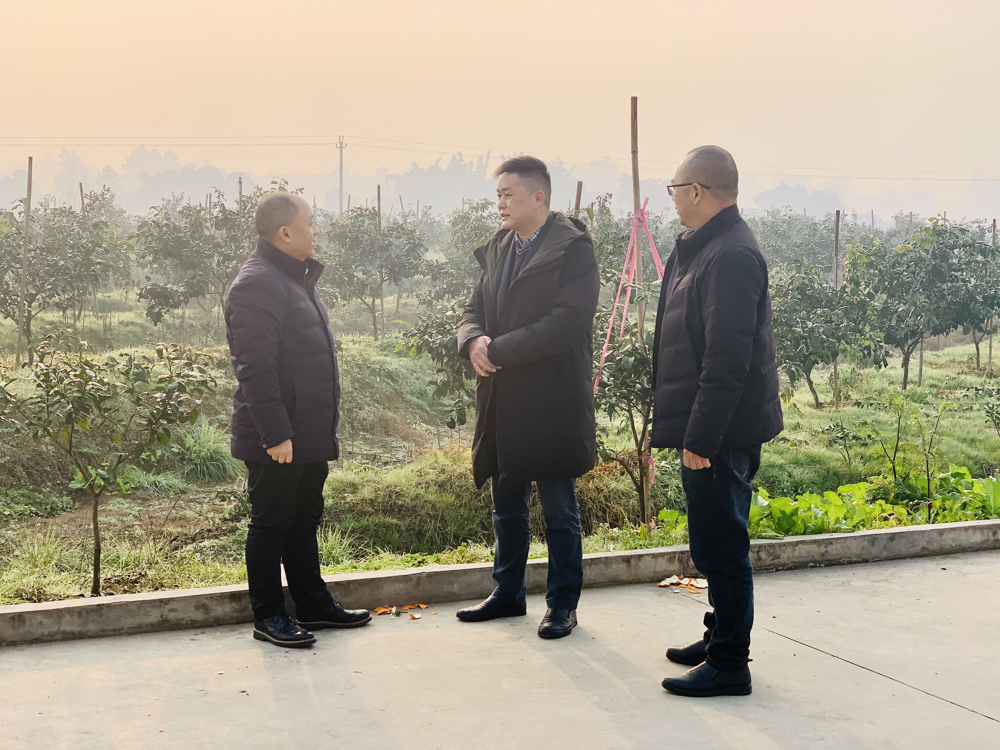 新年走基层 东坡区科协实地调查“银会合作”专项资金贴息工作开展情况