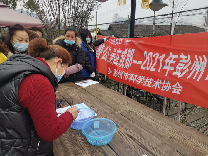 彭州市科协开展“我们的节日·春节”主题志愿服务活动