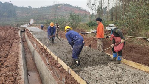 洪雅县：着力统筹农业农村工作  持续助力全县经济社会发展