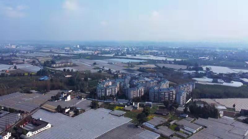 彭山区打造乡村振兴“彭山样本”