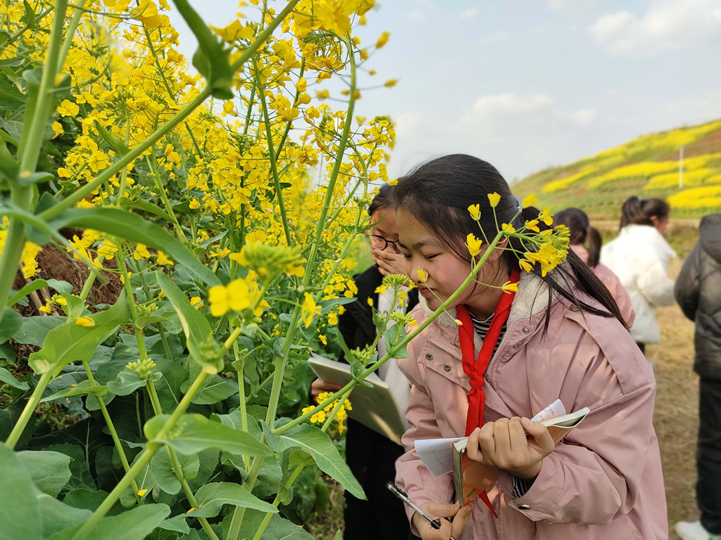 邻水县：问渠那得“减”如许  为有源头“活”水来