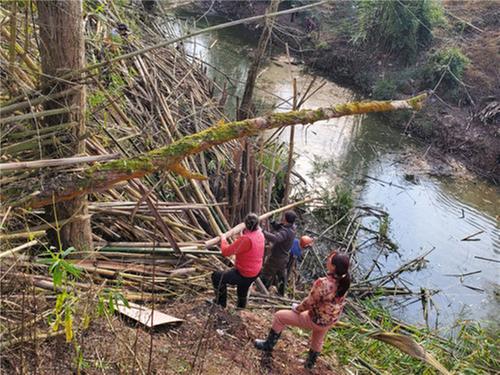 九龙街道：集中清理河道垃圾 共促大石河水清岸美