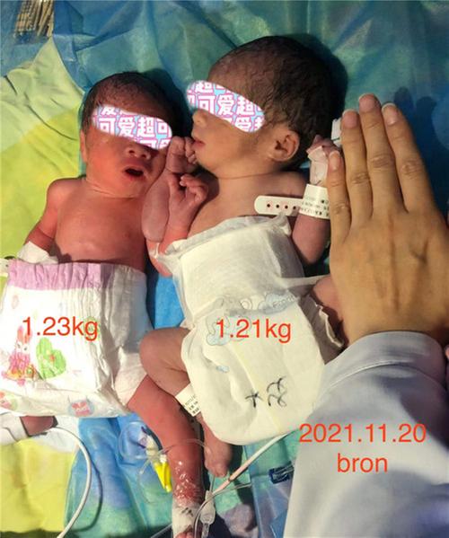 “巴掌姑娘”历险记