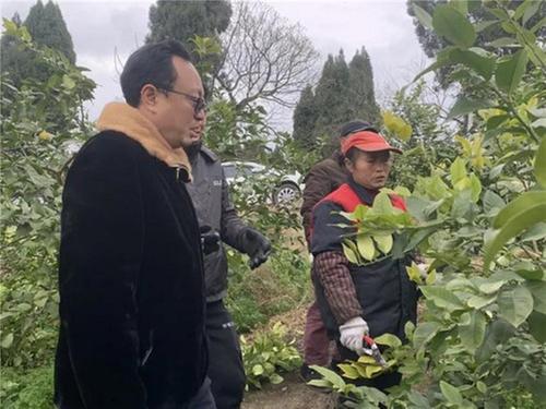 内江市市中区：节后上班第一天 精神饱满投入工作