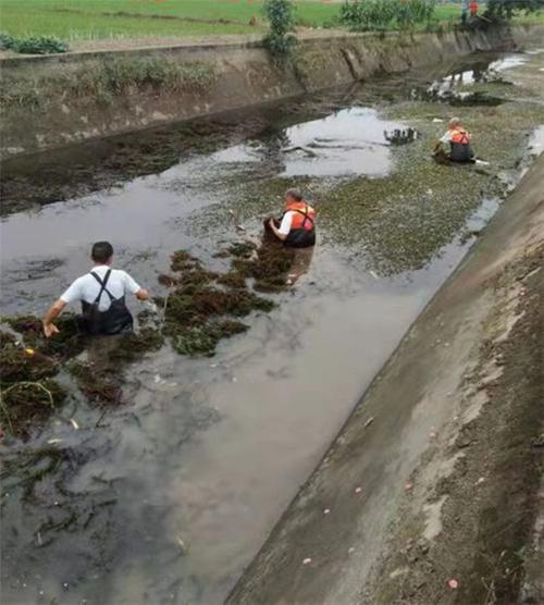 彭山区“巡”“除”“治”并举 流域水质常年100%达标三类以上