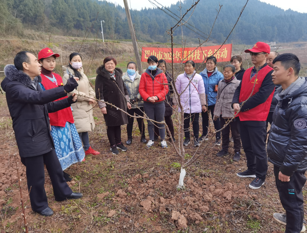巴中：科技特派员送科技下乡助力春耕生产