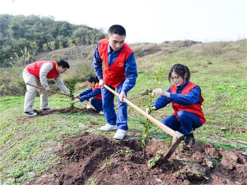 邻水供电公司：志愿服务红 电亮乡村绿