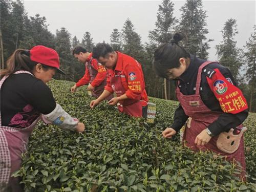 武圣乡：产业兴村促发展