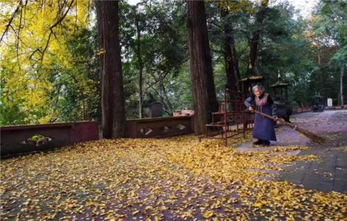 探蟆颐山 寻一方净土