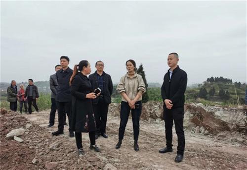 内江市领导调研指导市中区春耕生产、撂荒地整治与大豆扩种工作