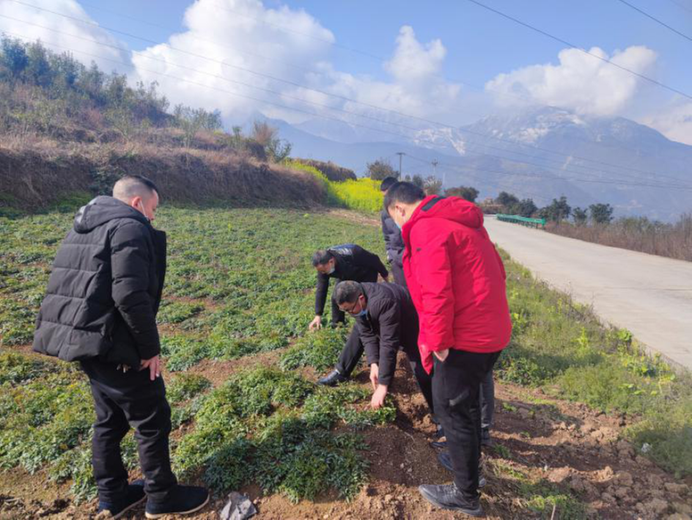 帮扶金口河 沙湾区对口帮扶工作队今年这样干
