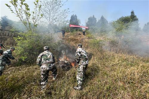 秦溪镇开展森林火灾扑救实战演练