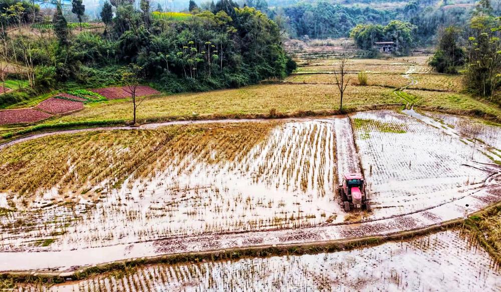 伏龙镇全力保障春耕生产