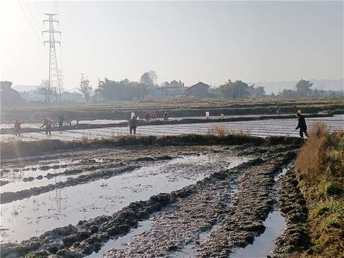 前锋区新桥街道防疫、春耕两手抓