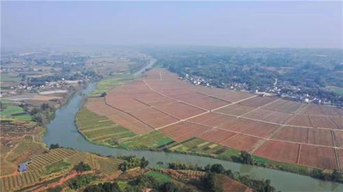 “良田”如何“粮用”？