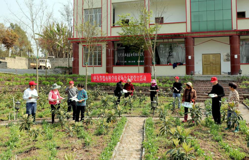 华蓥市科协党支部开展“学雷锋”志愿服务主题党日活动