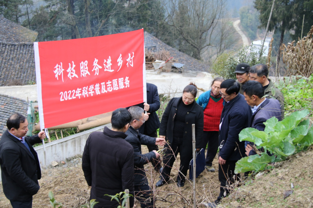 “四川科技兴村在线”助力南江春耕生产