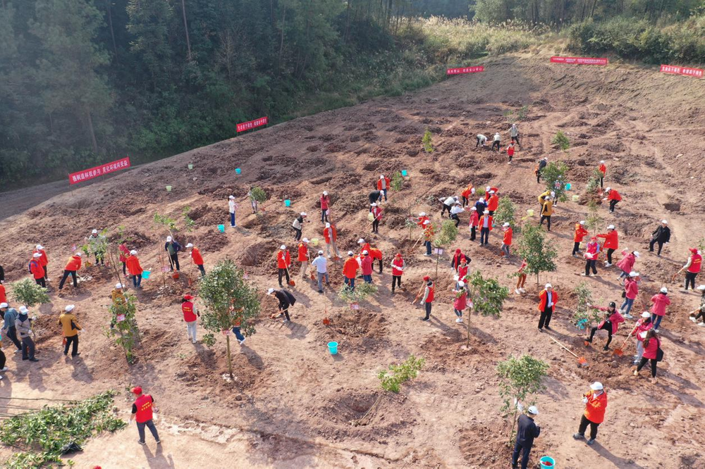 渝你湘约 共建绿色公路